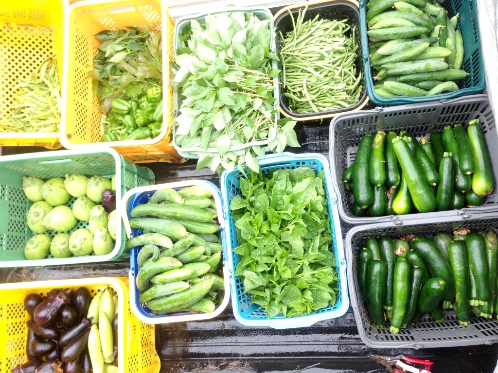 無肥料・無農薬の自然栽培野菜の写真
